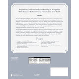 Amplified Anne Neilson Holy Bible - Dusty Blue Books Harper Collins Christian Publishing