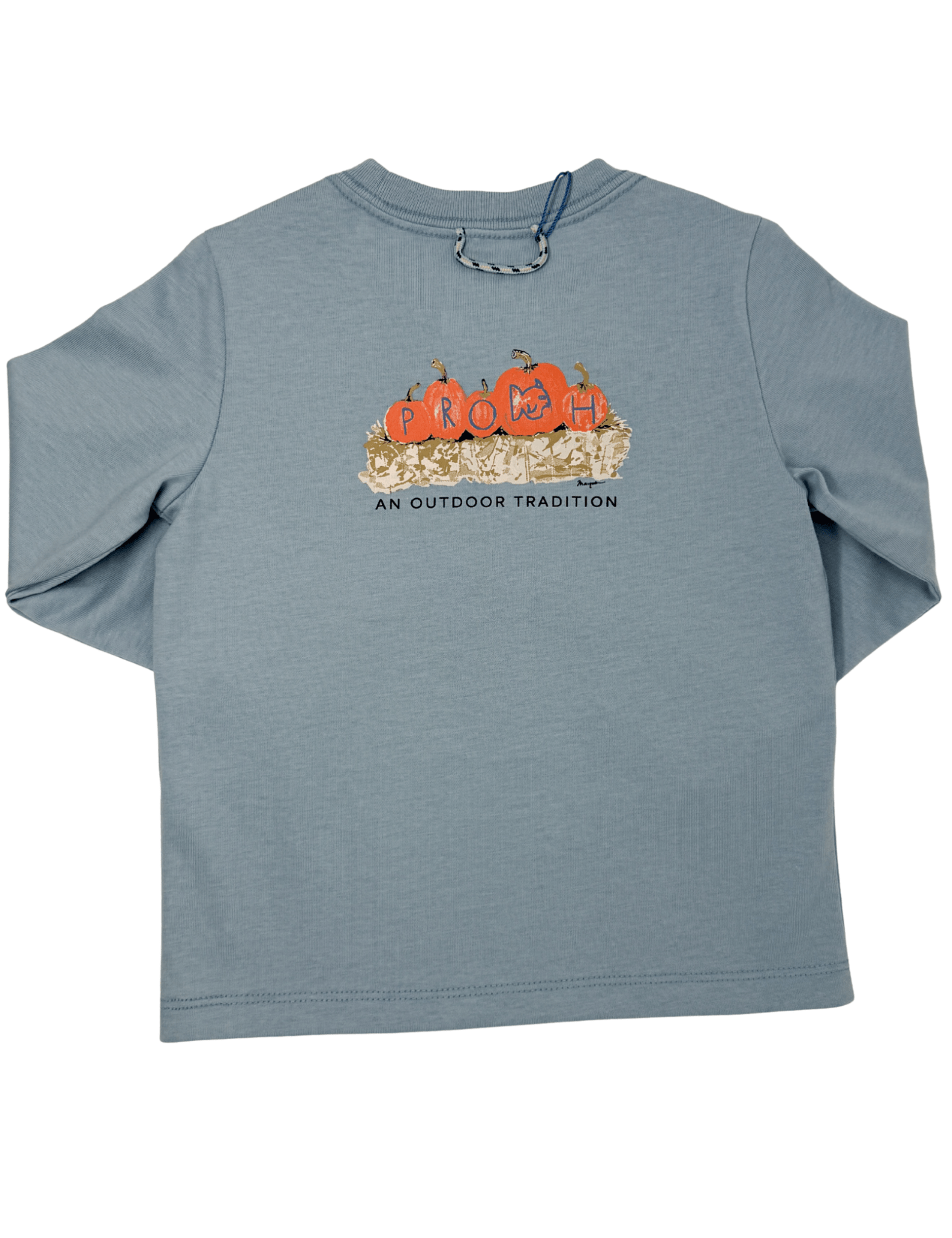 Boys L/S Cotton T-Shirt - Ashley Blue Boys Shirts + Polos Prodoh