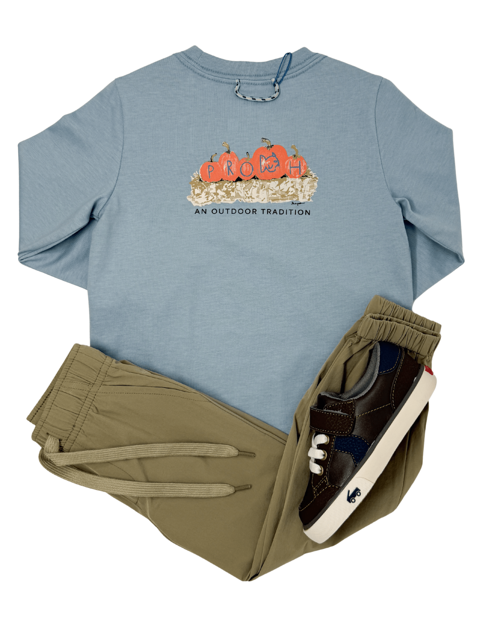 Boys L/S Cotton T-Shirt - Ashley Blue Boys Shirts + Polos Prodoh