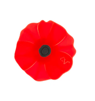 Floral Bottle Stoppers Kitchen + Entertaining Charles Viancin Poppy