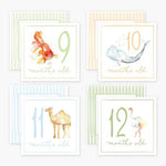 Milestone Cards Baby Accessories Anne Neilson Home