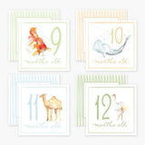 Milestone Cards Baby Accessories Anne Neilson Home