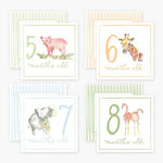 Milestone Cards Baby Accessories Anne Neilson Home