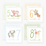 Milestone Cards Baby Accessories Anne Neilson Home