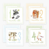 Milestone Cards Baby Accessories Anne Neilson Home