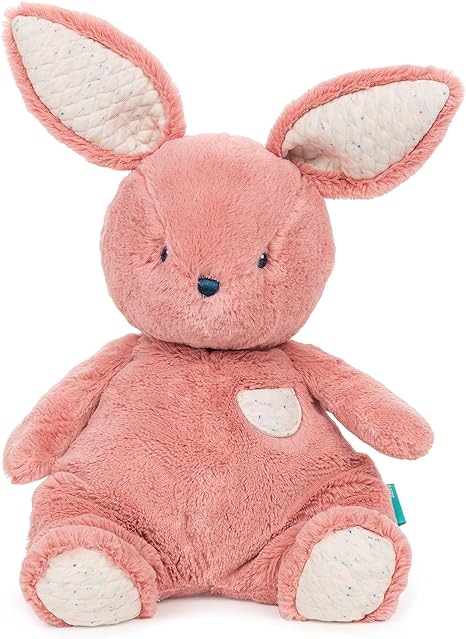 Oh So Snuggly Littles - Bunny Baby Accessories Gund