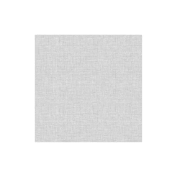 Papersoft Dinner Napkin - Easy Lt. Gray Kitchen + Entertaining Vietri