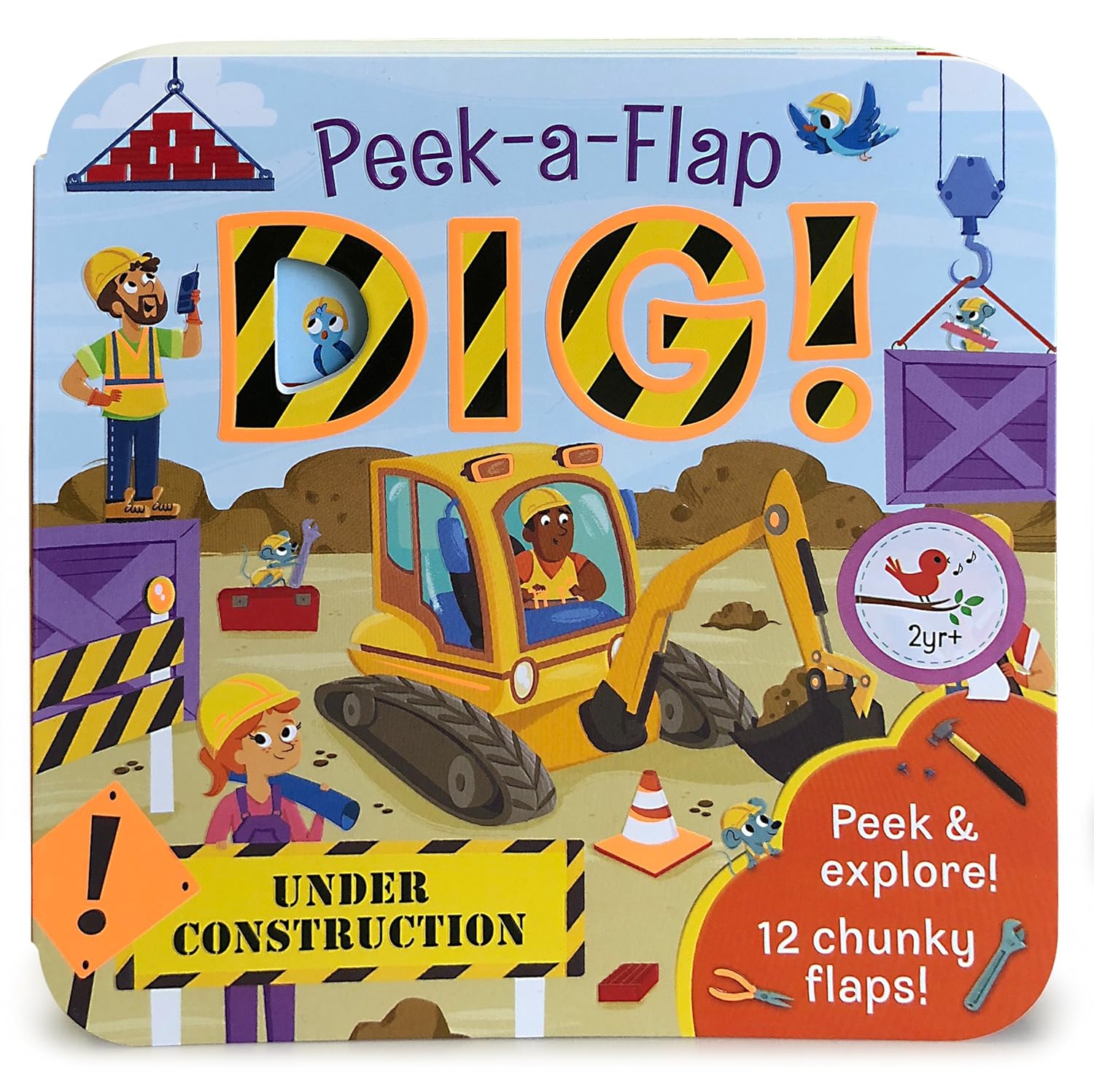 Peek-a-Flap DIG Book Books Cottage Door Press