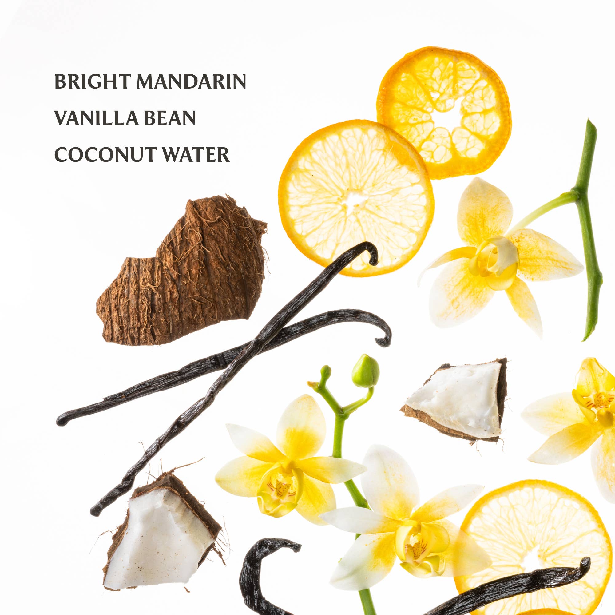 Power Mist Hydrating Hand Sanitizer - Vanilla Blossom Self-Care Touchland