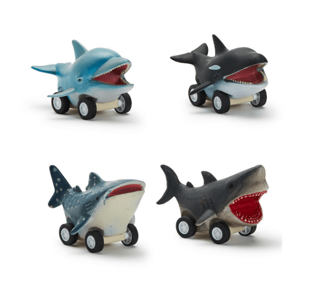 Reef Racers Fish Pull Back Toy (Assorted) Toys Cupcakes & Cartwheels