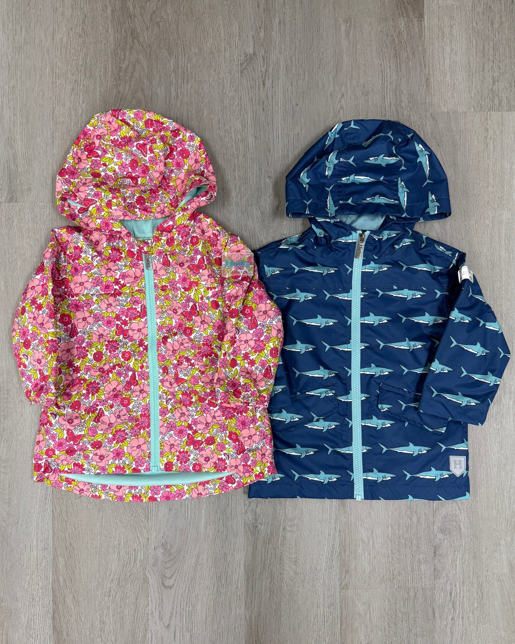 Shark Tank Microfiber Field Jacket Boys Outerwear Hatley
