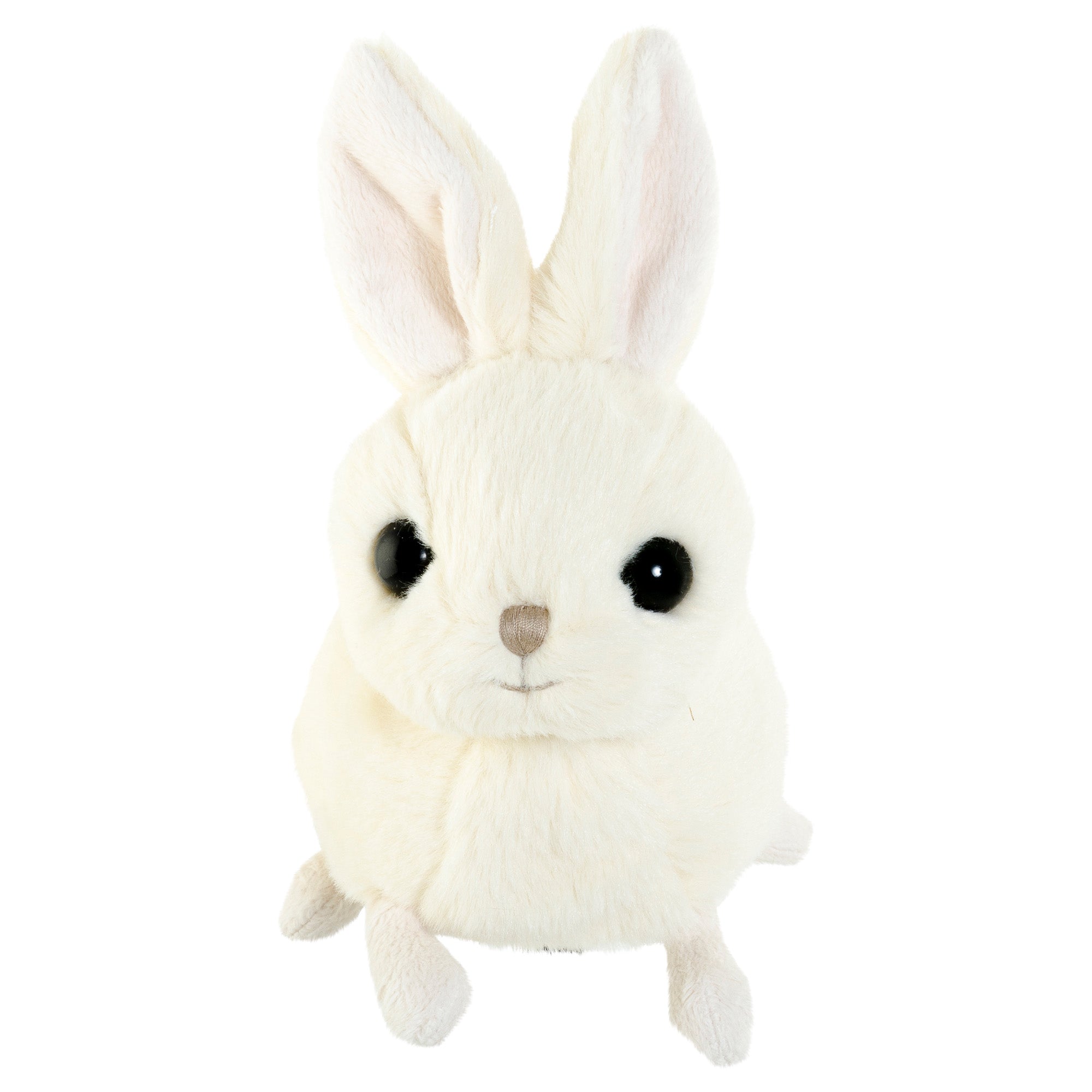 Zeus Plush Bukowski Bears