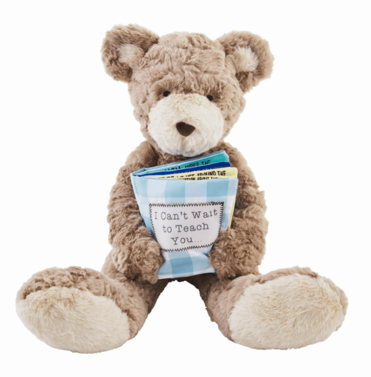 Big Brother Bear and Book Set Plush Mudpie