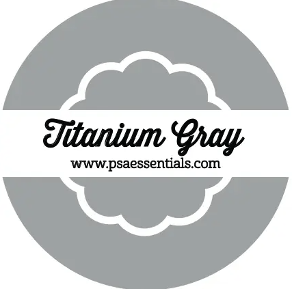 Single Color Ink - Titanium Gray Paper Goods PSA Essentials