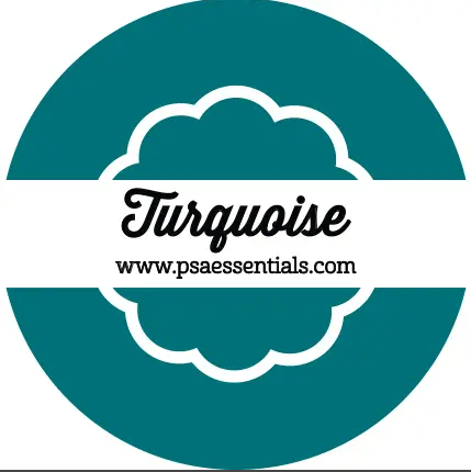 Single Color Ink - Turquoise Paper Goods PSA Essentials