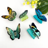 Butterfly Claw Clip - Blue Hair Accessories TheDivaSoap