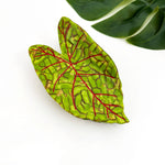 Lotus Leaf Hair Claw Clip - Green Hair Accessories TheDivaSoap