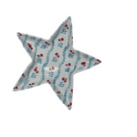 Melamine Star Plate - Assorted Kitchen + Entertaining One Hundred 80 Degrees
