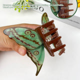 Colorful butterfly hair clips elegant beautiful hair clip: H Hair Accessories TheDivaSoap