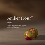 Amber Hour 6.5 oz Poured Candle Candles Thymes
