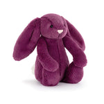 Bashful Allium Bunny Plush Jellycat