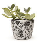 Black and White Hand Painted Cachepot Home Decor Two's Company