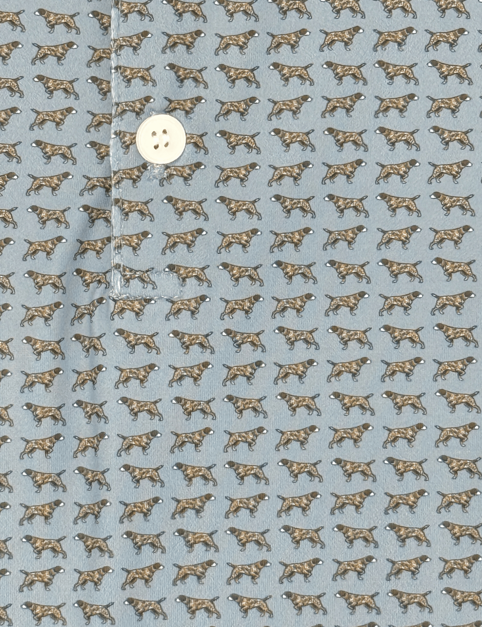 Boys Polo - The Pointer Boys Shirts + Polos Meripex