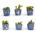 Canton Collection Cachepot - Assorted - Sugar Babies Children's Boutique/Meg's Shoppe