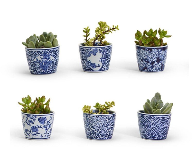 Canton Collection Cachepot - Assorted - Sugar Babies Children's Boutique/Meg's Shoppe