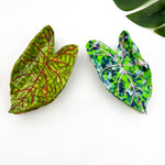 Lotus Leaf Hair Claw Clip - Green Hair Accessories TheDivaSoap