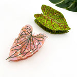 Lotus Leaf Hair Claw Clip - Green Hair Accessories TheDivaSoap