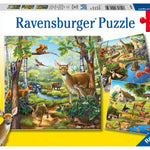 Forest/Zoo Animal 3x49 Puzzle Toys Ravensburger