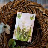Fresh Scents Lily of the Valley Sachets Diffusers The Willowbrook Company