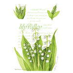 Fresh Scents Lily of the Valley Sachets Diffusers The Willowbrook Company