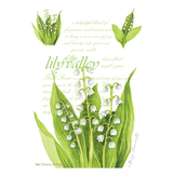 Fresh Scents Lily of the Valley Sachets Diffusers The Willowbrook Company