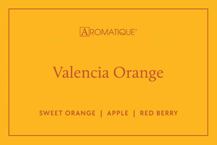 Gift Set Trio - Valencia Orange - Sugar Babies Children's Boutique/Meg's Shoppe