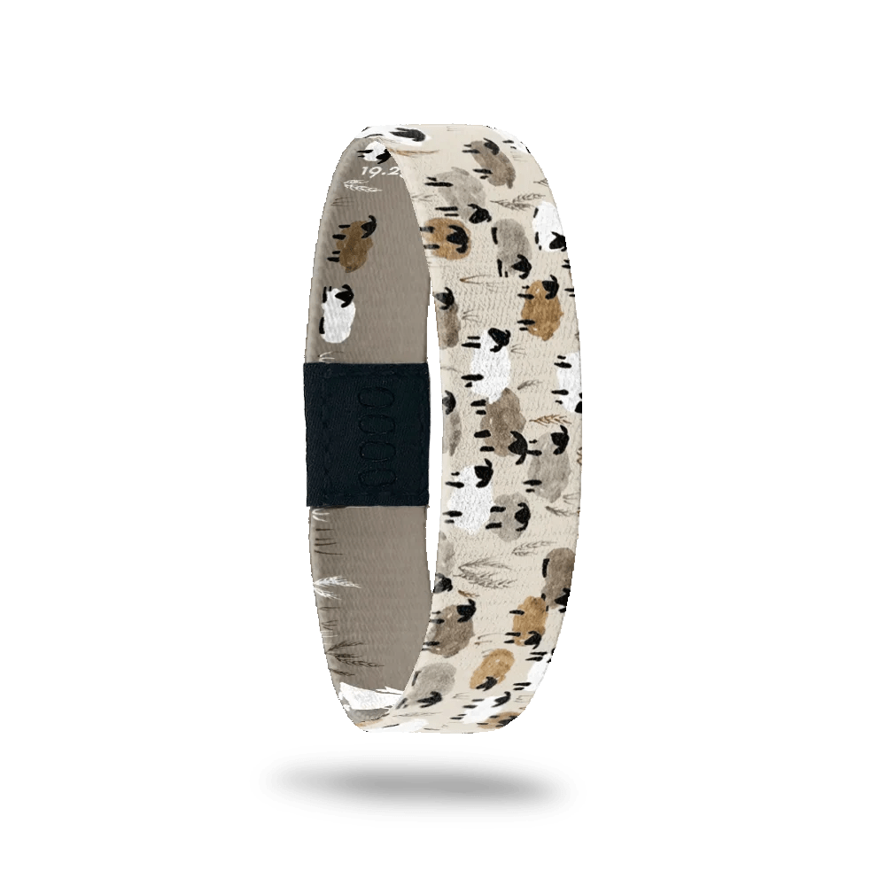 Interactive Bible Verse Bracelet - Assorted Misc Accessories ZOX Psalm 23:1