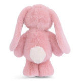 Jumpy Bunny - Strawberry Plush Bukowski Bears