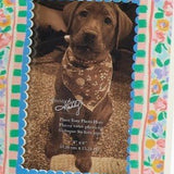 Mini Floral Photo Magnet Frame - Assorted Home Decor Primitives by Kathy Blue