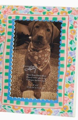 Mini Floral Photo Magnet Frame - Assorted Home Decor Primitives by Kathy Blue