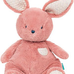 Oh So Snuggly Littles - Bunny Baby Accessories Gund
