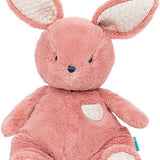 Oh So Snuggly Littles - Bunny Baby Accessories Gund