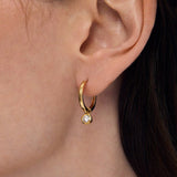 Orsay Huggie Hoops - Gold Earrings Dean Davidson
