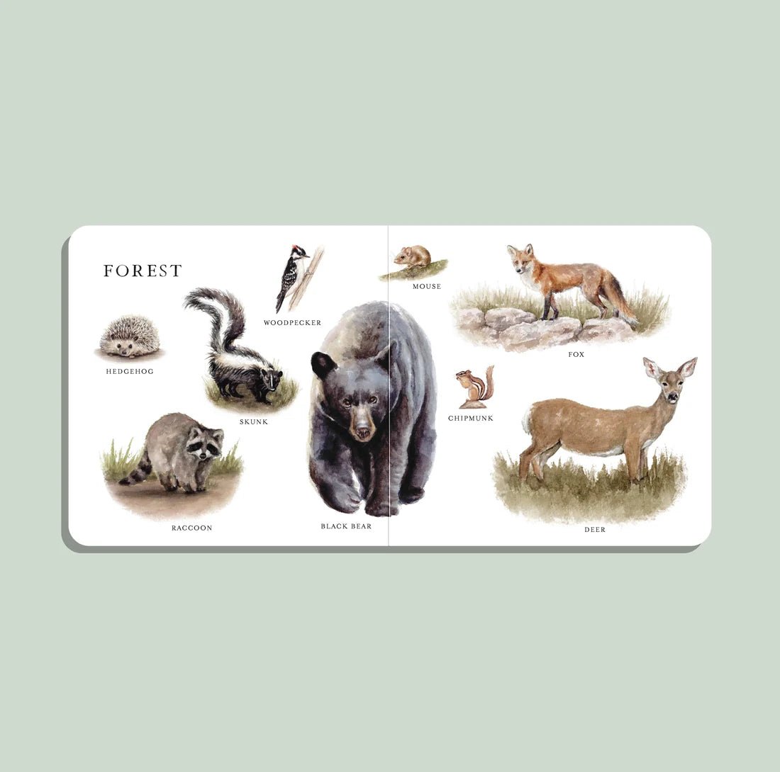 Our Big Book of Animals Books Penguin Random House