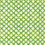 Paper Guest Towels 16 ct Botanical Cane Green Rosanne Beck Kitchen + Entertaining Boston International