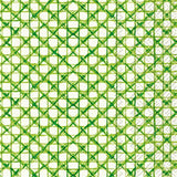 Paper Guest Towels 16 ct Botanical Cane Green Rosanne Beck Kitchen + Entertaining Boston International