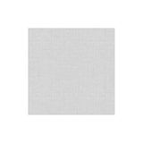 Papersoft Dinner Napkin - Easy Lt. Gray Kitchen + Entertaining Vietri