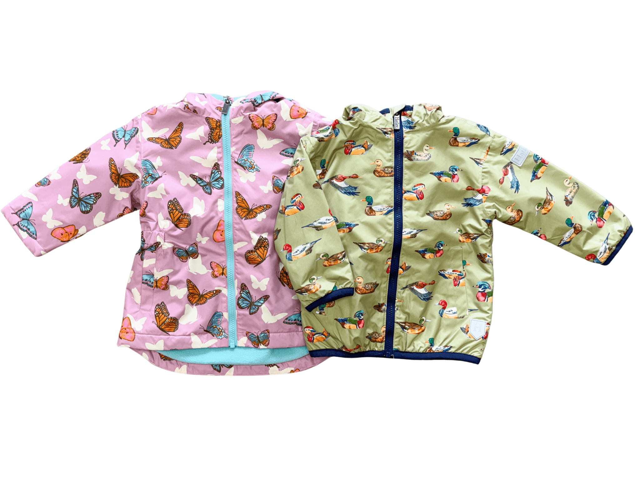 Pop - Out Butterflies Field Jacket - Sugar Babies Children's Boutique/Meg's Shoppe