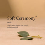Soft Ceremony 6.5 oz Poured Candle Candles Thymes