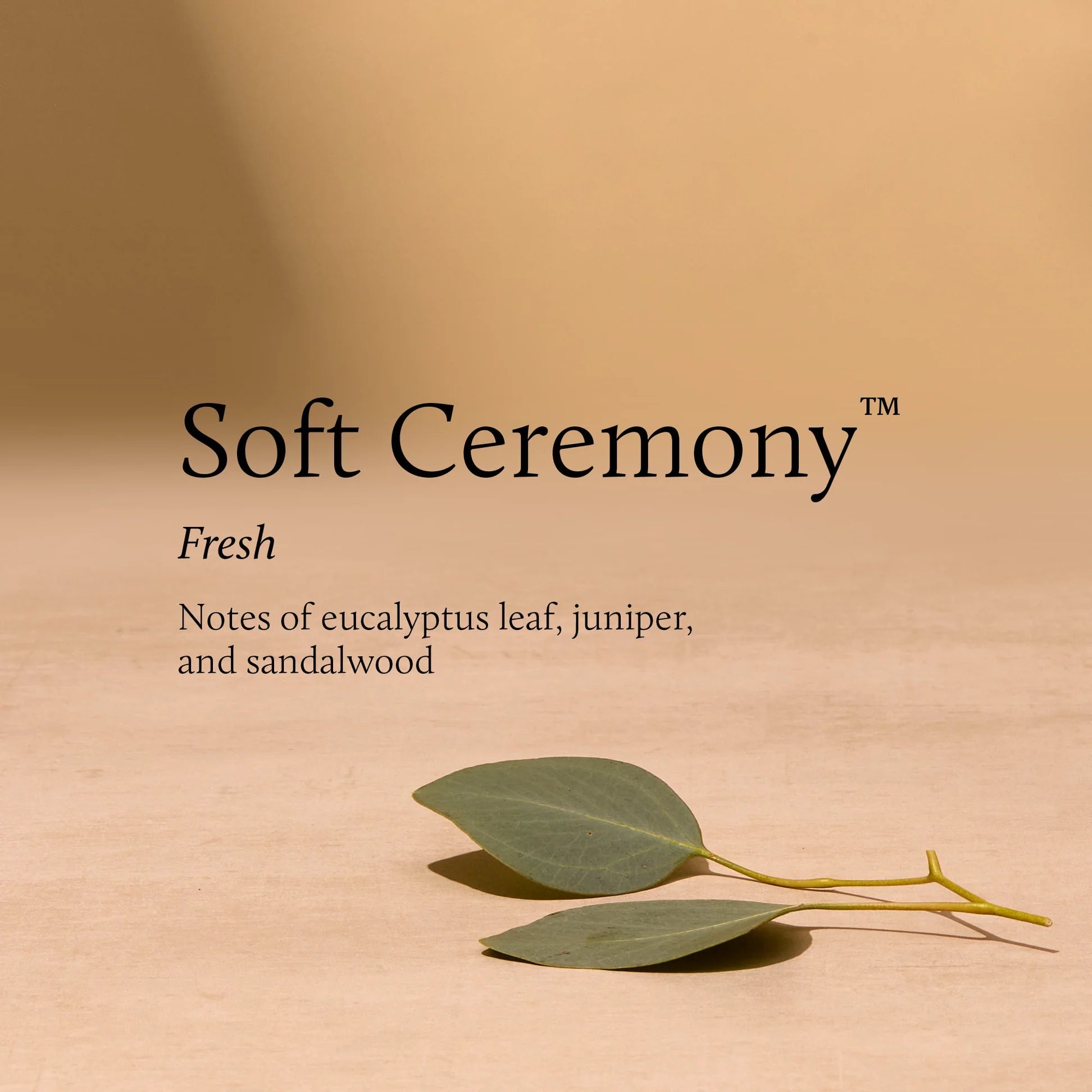 Soft Ceremony 6.5 oz Poured Candle Candles Thymes